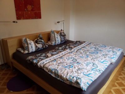 Trier Ferienwohnung Christina: Ansicht